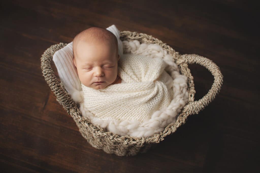 Newbornshoot Zuid holland